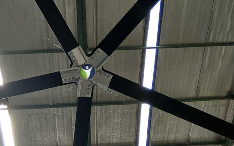 HVLS Fan For School